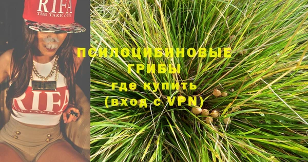 бошки Алексин