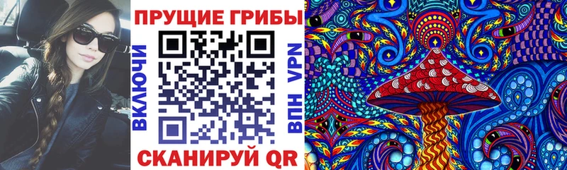 Галлюциногенные грибы GOLDEN TEACHER Заинск